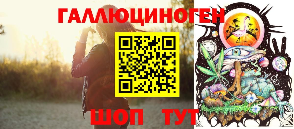 Псилоцибиновые грибы GOLDEN TEACHER  Псилоцибиновые грибы Psilocybe  Вход с VPN  Биробиджан 